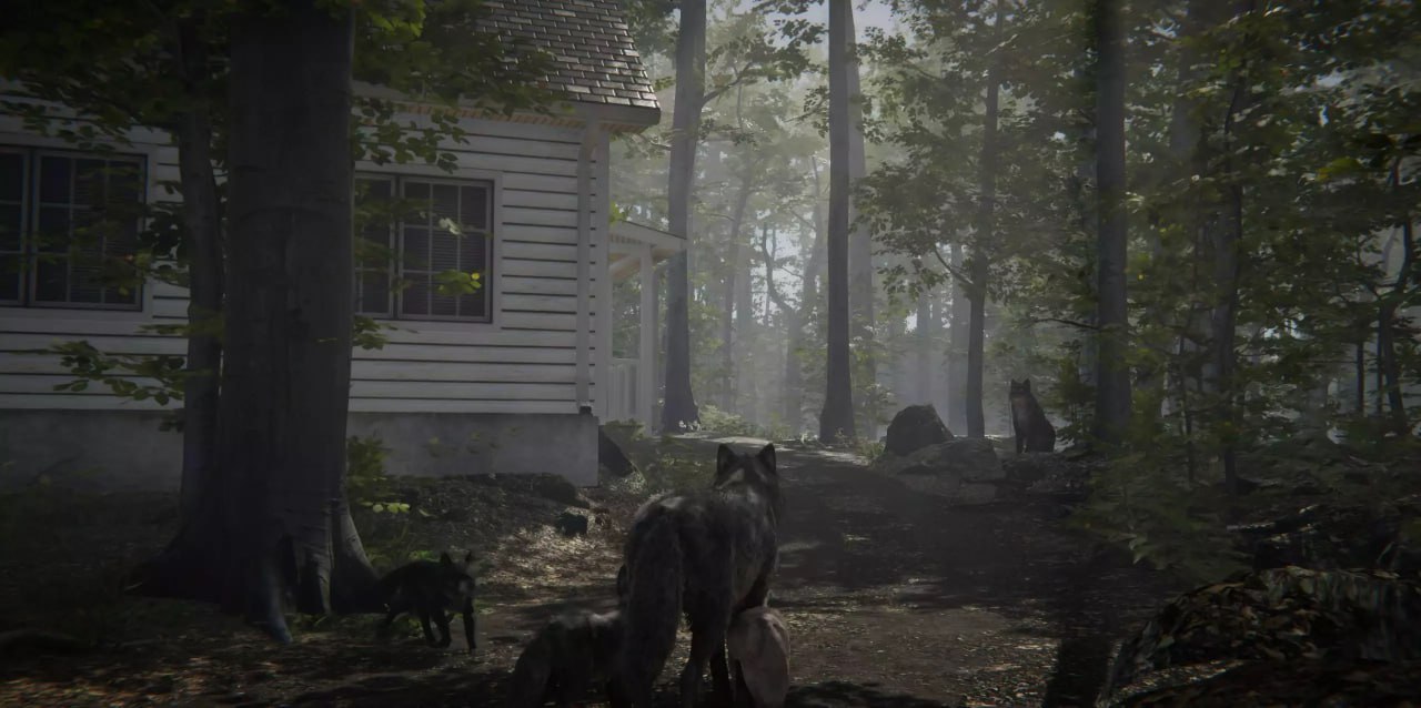 Realistic Wolf📱 - изображение 4